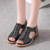 Summer New Color Women's Sandals Side Zipper Fashion Women's Sandals Women's Shoes