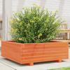 Plant Pot Wax Brown 70x70x26.5 Cm Solid Pine Wood