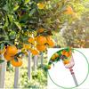 Fruit Pick  Basket   Telescoping Pole Tool Fruit Picking Equipment for Garden