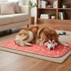 Reusable PVC Non-slip Blanket Mat Leakproof Puppy Training Pad Outdoor Portable Pet Sleeping Mat for Incontinence Housebreak