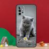 Beautiful Grey British Shorthair Cat Case For Samsung Galaxy A17 A06 A16 A56 A36 A54 A34 A14 A52 A32 A13 A23 A33 A53 A15 A35 A55