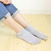 Silk Sizes Made in Japan Set of Five-Toe Socks, 23-25cm, (Silver Gray, 3)