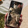Para OPPO A3 A3x Funda Lujosa Cubierta Trasera de Silicona Funda de Teléfono para OPPO A3x 4G 5G Fundas A 3 3x Parachoques Suaves Coque A60 5G Lindas Capas