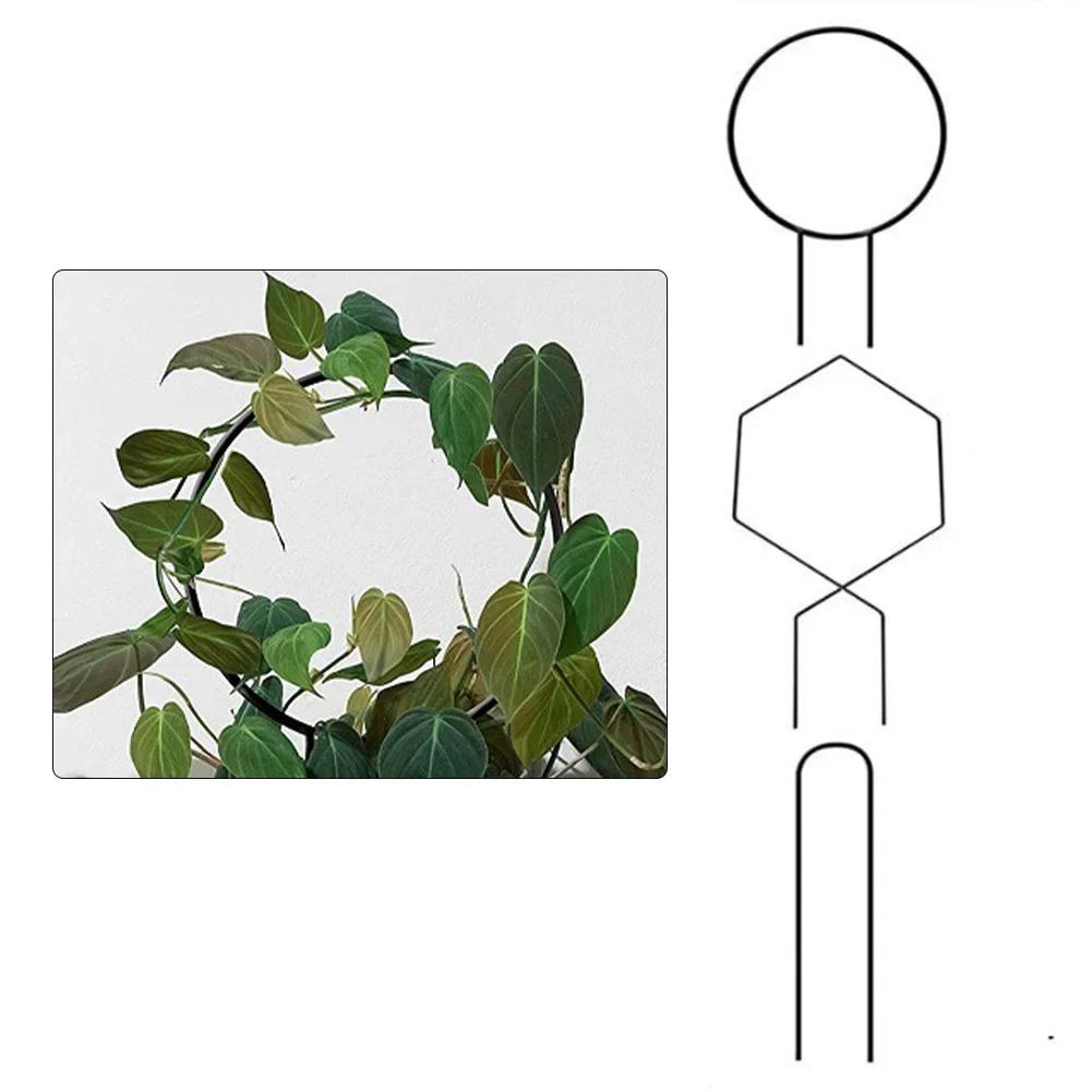 3PC Wrought Iron Climbing Frame for Outdoor Vertical Garden Support with Adjustable Brackets for Climbing Plants