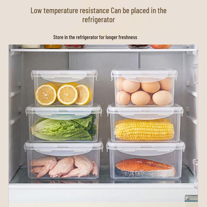 Puye Rectangular Airtight Food Storage Containers