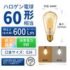 LVWIT Pendant E26 25cm Track with Ceiling Woven LED Bulb Color Temperature 6W Power Remote Cord 100cm Adjustable Suitable for Dining Living Night