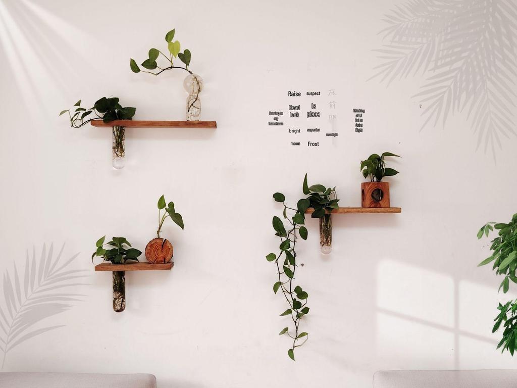Solid Wood Wall-Mounted Flower Holder & Shelf - Decorative Vase for Plants & Water Culture