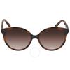 Brown Gradient Round Ladies Sunglasses Sf1071s 240 58