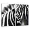 Glas-Schneidebrett 2x 30x52 Zebra