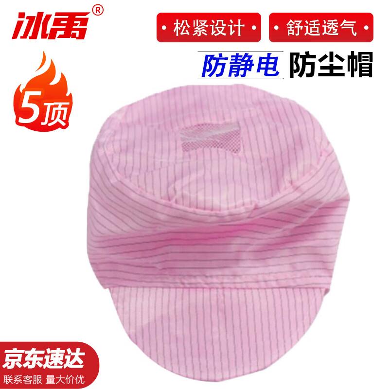 Bingyu BYly-254 Anti-Static Dustproof Cap (5-pack) One Size