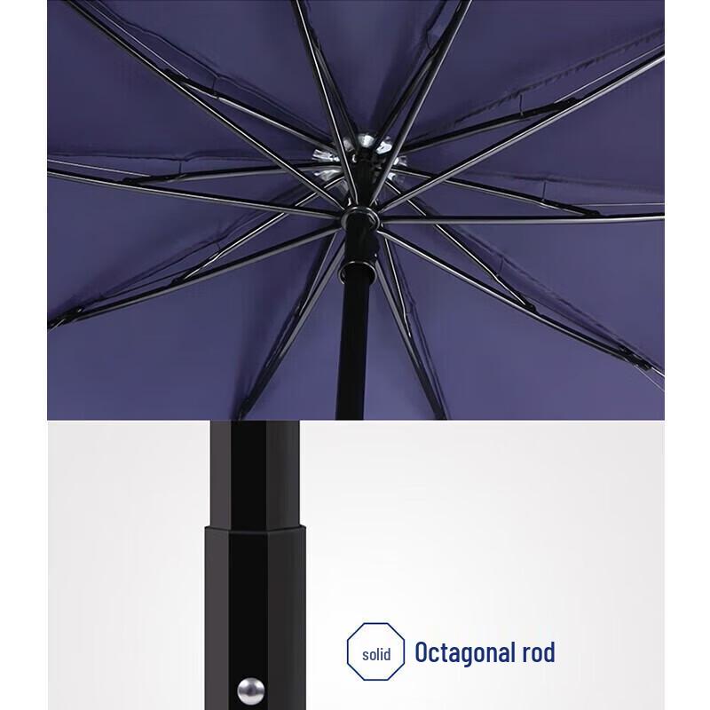 Tiangang 3-voudige 10-ribs Extra Grote Zon/Regenparaplu