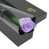Preserved Flower - Single Rose - Gift for Birthdays, Anniversaries, Graduations, Retirements,