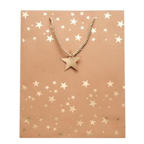MidOcean Sparkle Paper Gift Bag