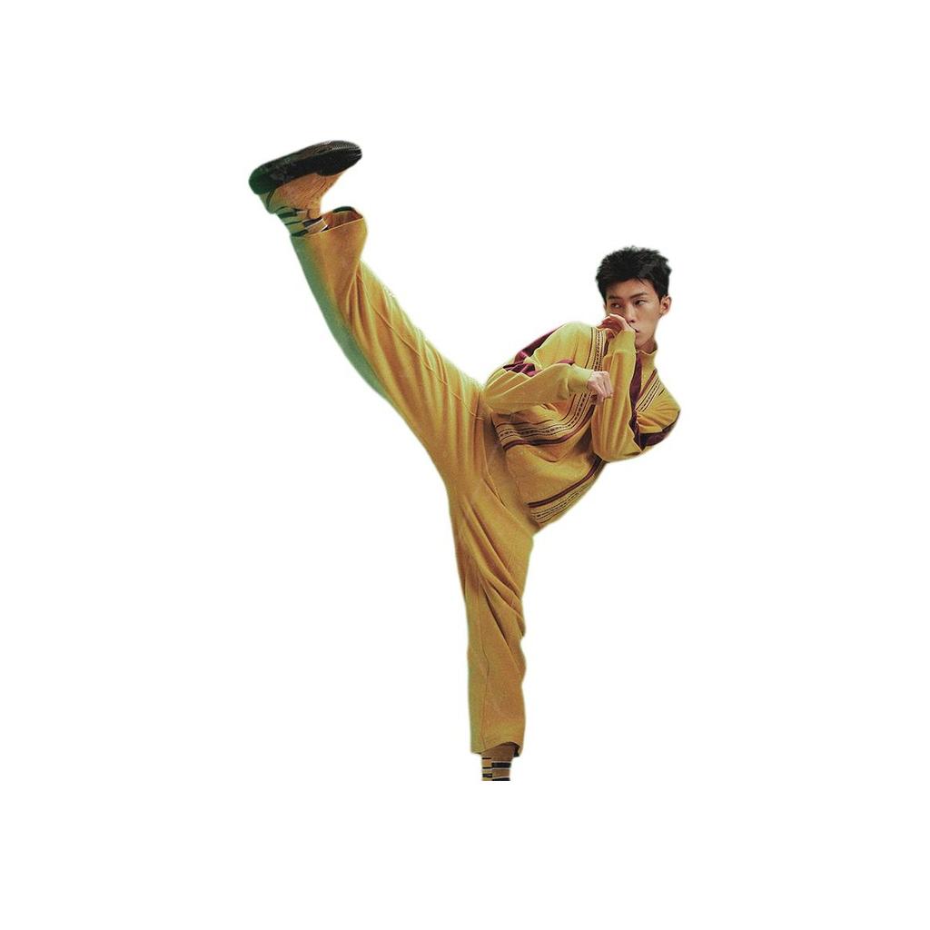 Li Ning X Bruce Lee Kollaboration Kung Fu Serie Locker Bestickt Gerippte Bündchen Reißverschluss Freizeitjacke Herrenjacke Ceylon-Gelb AFDT879-2