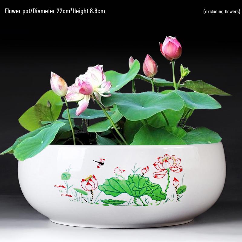 Großer Keramik-Lotus Seerose Hydroponischer Blumentopf ohne Abfluss