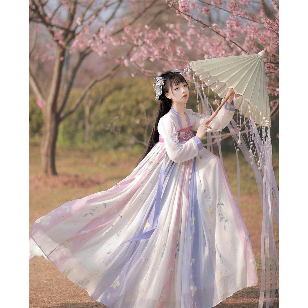 Chinese Tang Dynasty Style Hanfu Embroidery Daily Suit For Women