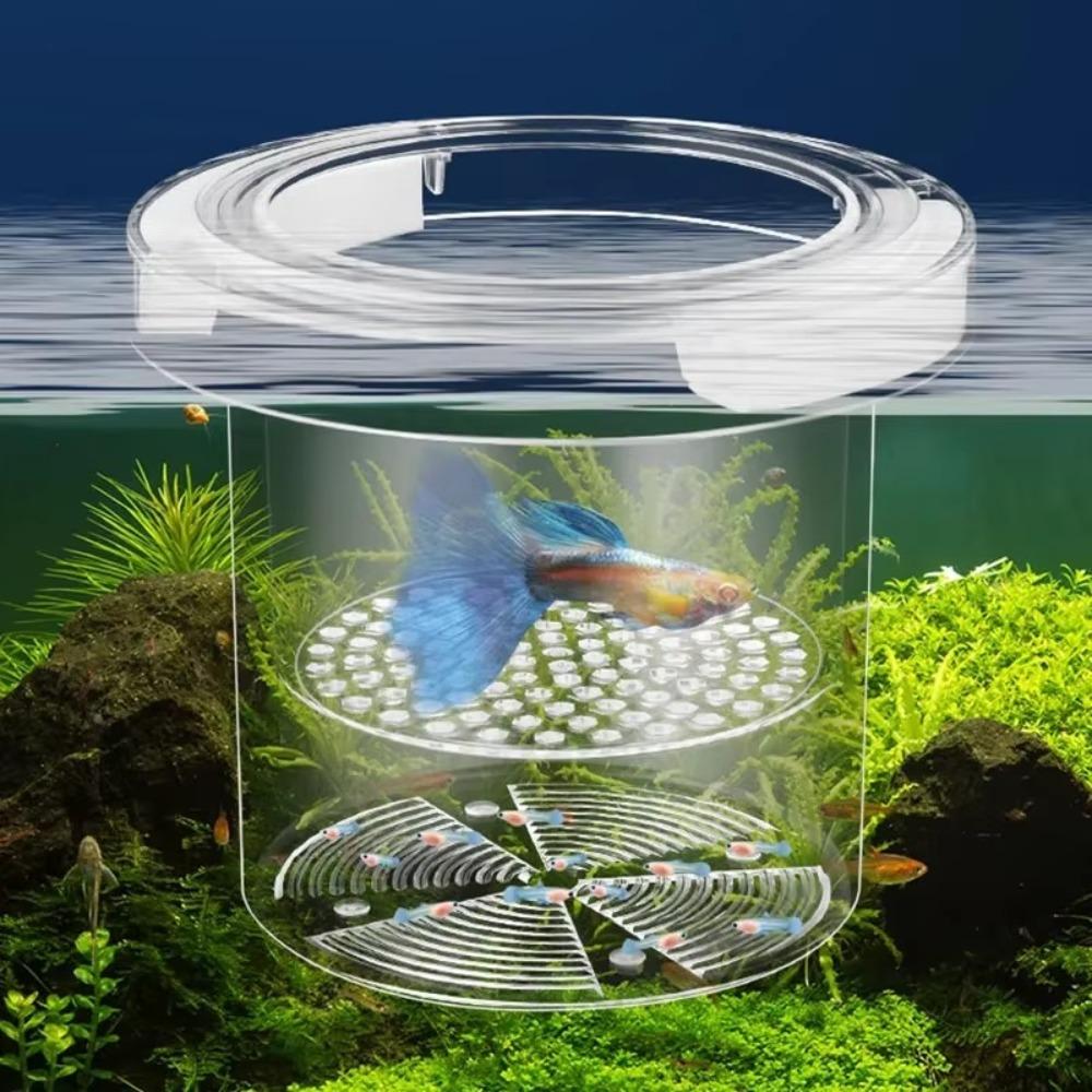 Acrylic Aquarium Isolation Box  for Aquarium Hatchery Accessory