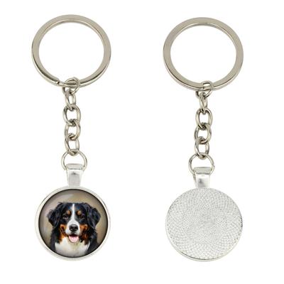 Berner Sennenhund, Berner Sennenhund - Schlüsselanhänger in Box, eigenes Foto, Schlüsselanhänger der Marke