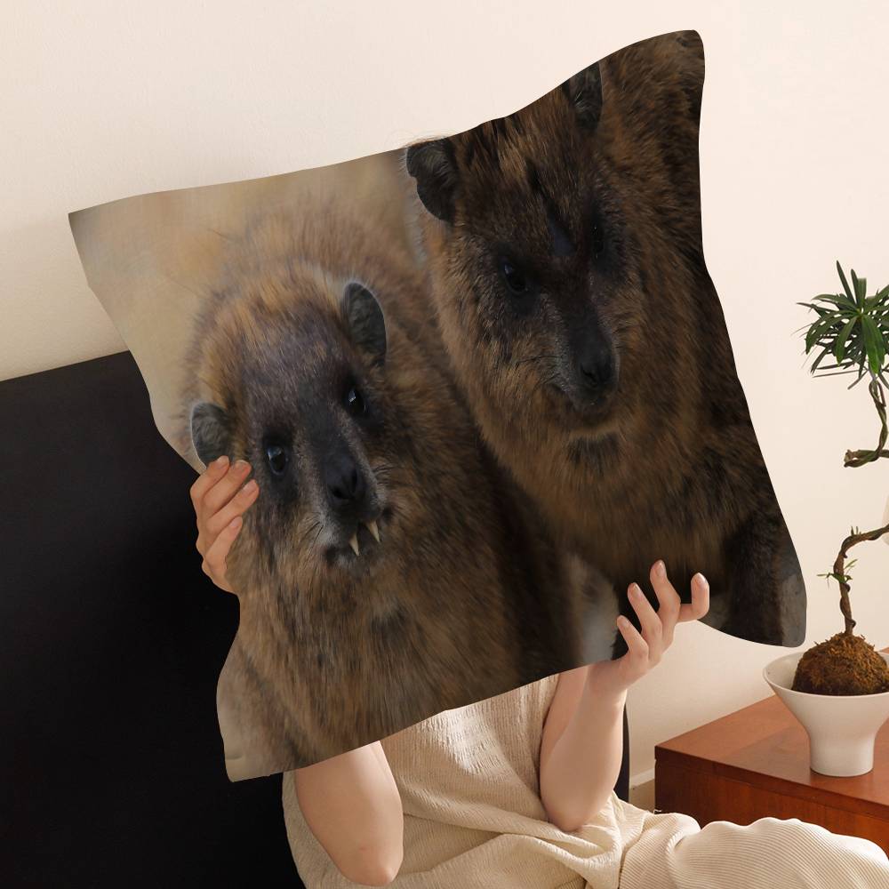 Rock Hyrax Animal Cushion Cover Pillow Cover Decor Pillowcase Printed Cushion Case for Couch
