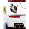Eagle Print Car Sticker