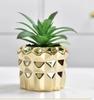 Electroplated Golden Ceramic Succulent Flower Pot Home Decor Horticultural Potted Creative Tabletop Plant Pots Floral Utensils