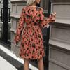 Wiosenno-jesienna sukienka damska Modny temperament Eleganckie sukienki z długim rękawem i nadrukiem