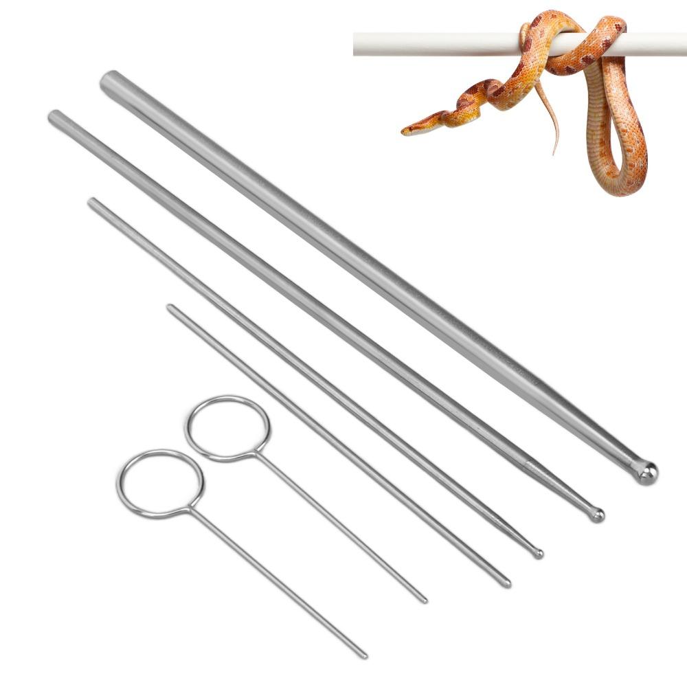 6pcs Round Head Snake Sexing Probe Stainless Steel Reptile Sexing Probe Snake Breeders