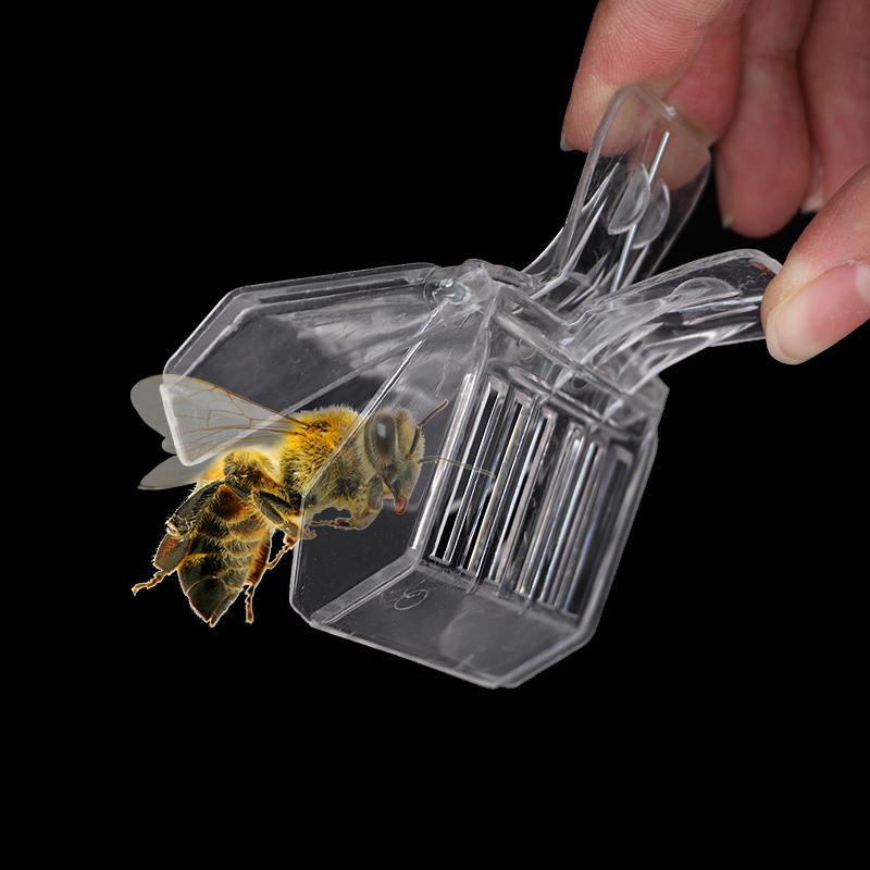 2Pcs Queen Bee Cages Clip Bee Catcher Colorless Clear Plastic Clip Cage Beekeeping Equipment Tool Beekeeper Equip Isolation Room