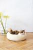 Round Natural Wool Pet Bed - White 30 cm