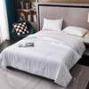 BGM Gentle Skin-Friendly Jacquard Silk Quilt