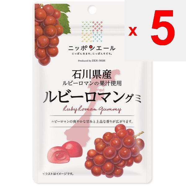 JA Nippon Ale - Ruby Roman Gummi from Ishikawa, Japan - 40gNippon Ale Brand with the Catchphrase Ni Nippon Ale Brand with the Catchphrase Nippon-born,