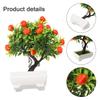 Orangenbaum Durchmesser 22cm Leicht zu reinigen Höhe 26cm Ungiftig Brandneu
