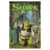 Shrek Core Group Maxi Poster