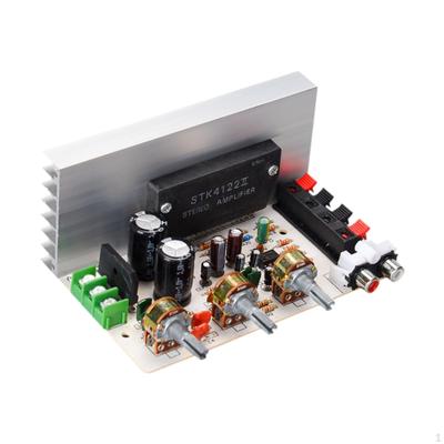 Verstärkerplatine 2.0 Kanal Tragbar, Robust, Einfach zu Installieren, Subwoofer Stereo Audio Leistung