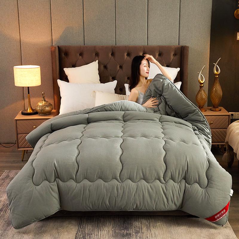 Brushed Comforter: Thickened Silk Cotton Quilt for All Seasons