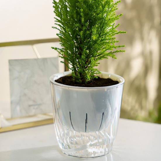 1/2 Stück Blumentopf Wasser Automatisch Selbstbewässernd Hydroponischer Einfüllstutzen mit Entwässerungslöchern Blumentopf Transparente Basis Pflanztopf