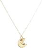 Genuine Gold and Sterling Silver 925 18K Gold Continent Motif Coin Medallion Emblem Oval Charm Necklace for Men and Small Chain Set with Drawstring
