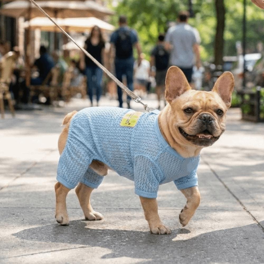 Thin Summer Pet Clothes Breathable Mesh Cooling Vest Dog Cooling Jumpsuit Sun Protection