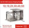 Keliy Column Weighing Module ZSF - 10T, 20T, 25T, 30T, 40T, 50T Large Tonnage.