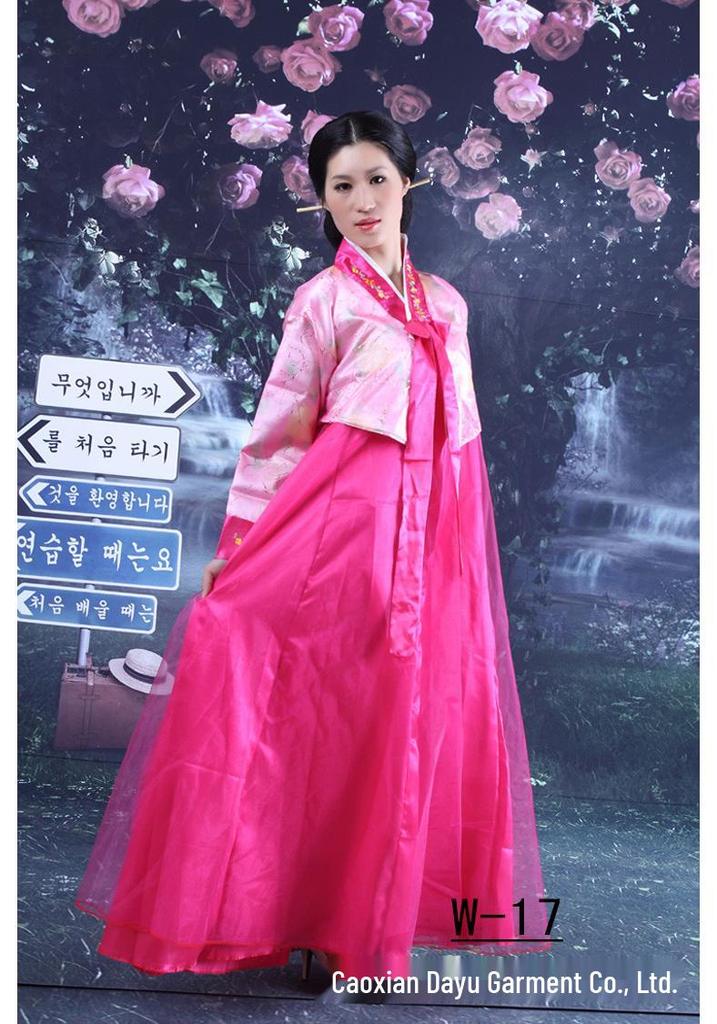 Traditionelles Koreanisches Tanz-Hanbok für Damen - Ethnische Tracht im Dae Jang Geum Stil