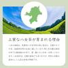 Yamecha Grüner Tee Sencha 100g SS-12 (Zinnober) Yamecha no Sato
