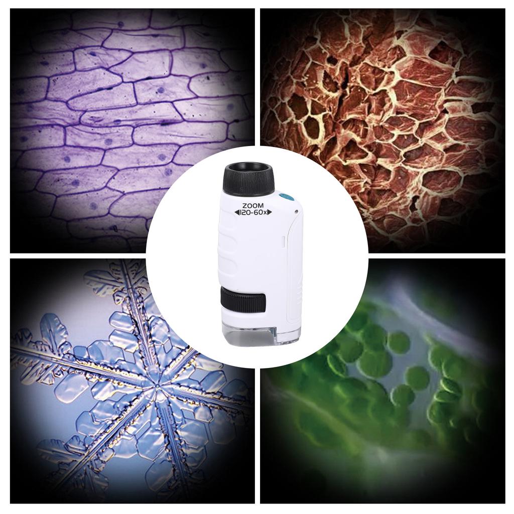 60X to 120X Portable Microscope HD Optical Lens Handheld Pocket Microscope for Daily Observation