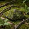 Natural-Looking PU Decorative Landscaping Rock Realistic lichenTextured Faux