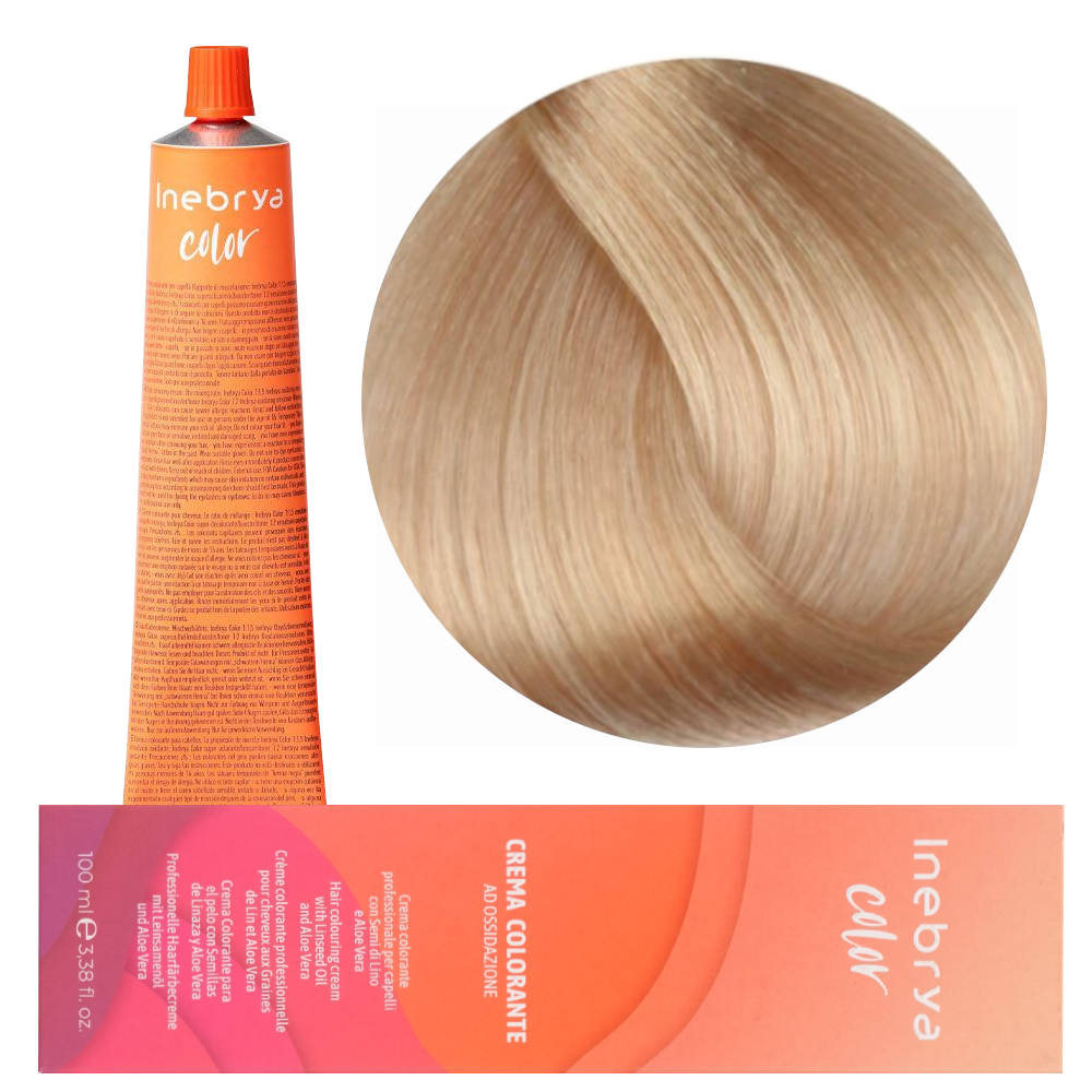 Inebrya Color 12/8 Paint 100