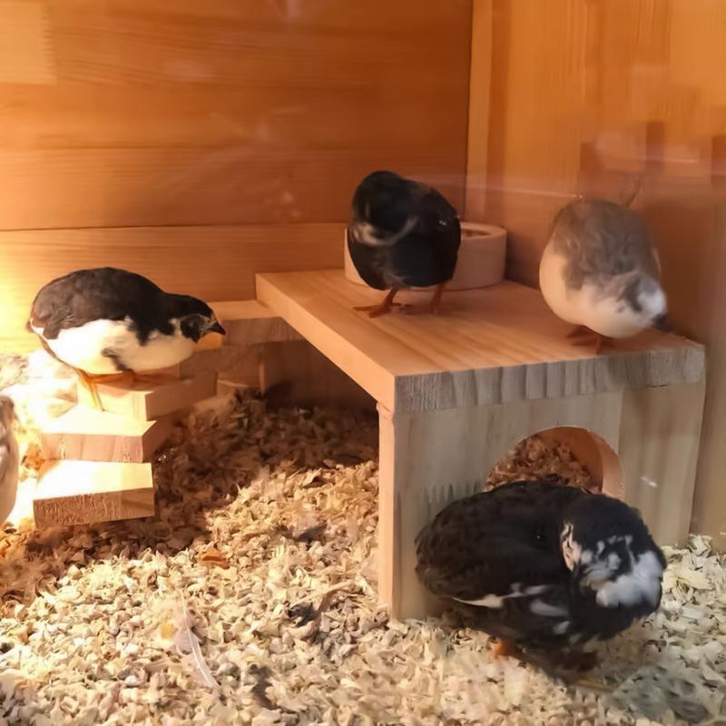 Platforms for Hamster Cage Wooden Hamster Toys Space-Saving Climbing Toy for Small Animals Guinea Pigs Gerbils Chinchillas Mice