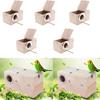 5Pcs Wood Nesting Feeding Feeder & Stick