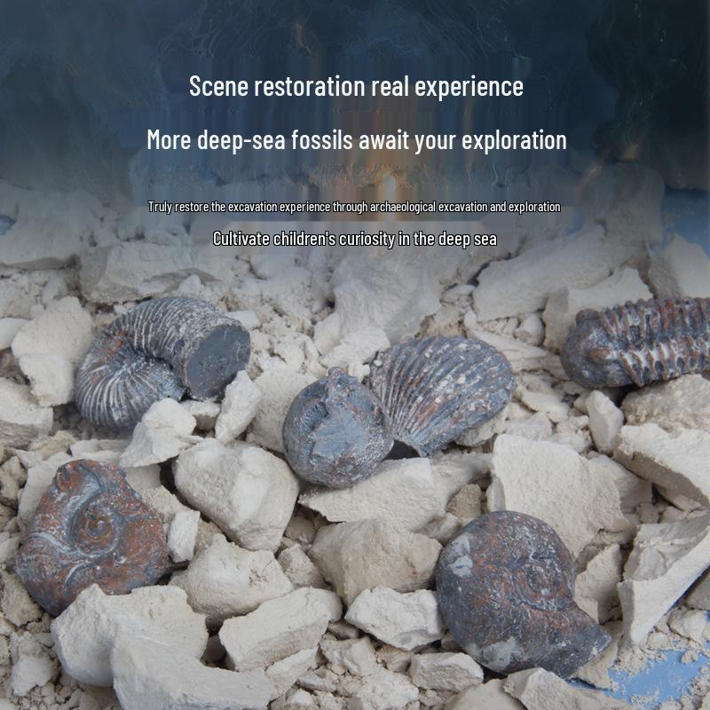 Children's Archaeological Fossil Dig Toy: Marine Shells & Ancient Gem Treasures