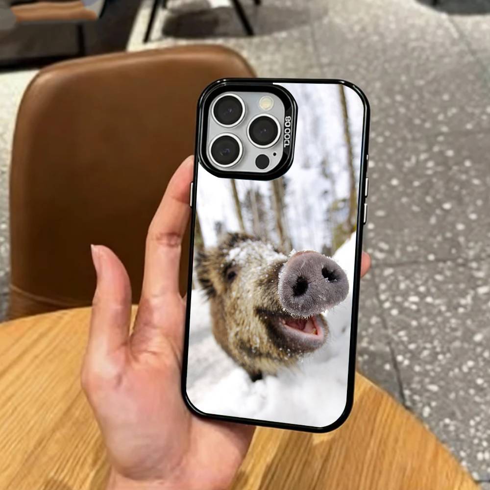 COOL Wild B-Boar Animal   Phone Case For iPhone17,16,15,14,13,12,11 Plus,Pro Max Colored Silver Plated Inside Cover