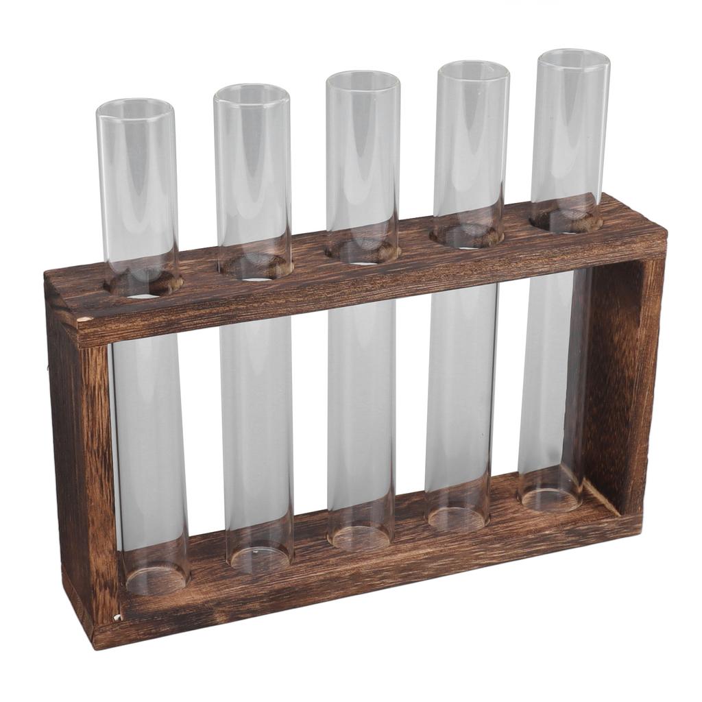 5 Test Tube Plant Terrarium Transparent Observe Growth Status Water Plant Holder with Wooden Stand for Herbs