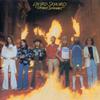 CD LYNYRD SKYNYRD - Street Survivors  0881127502 MCA Records US Rock Used